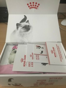 royal canin kitten box