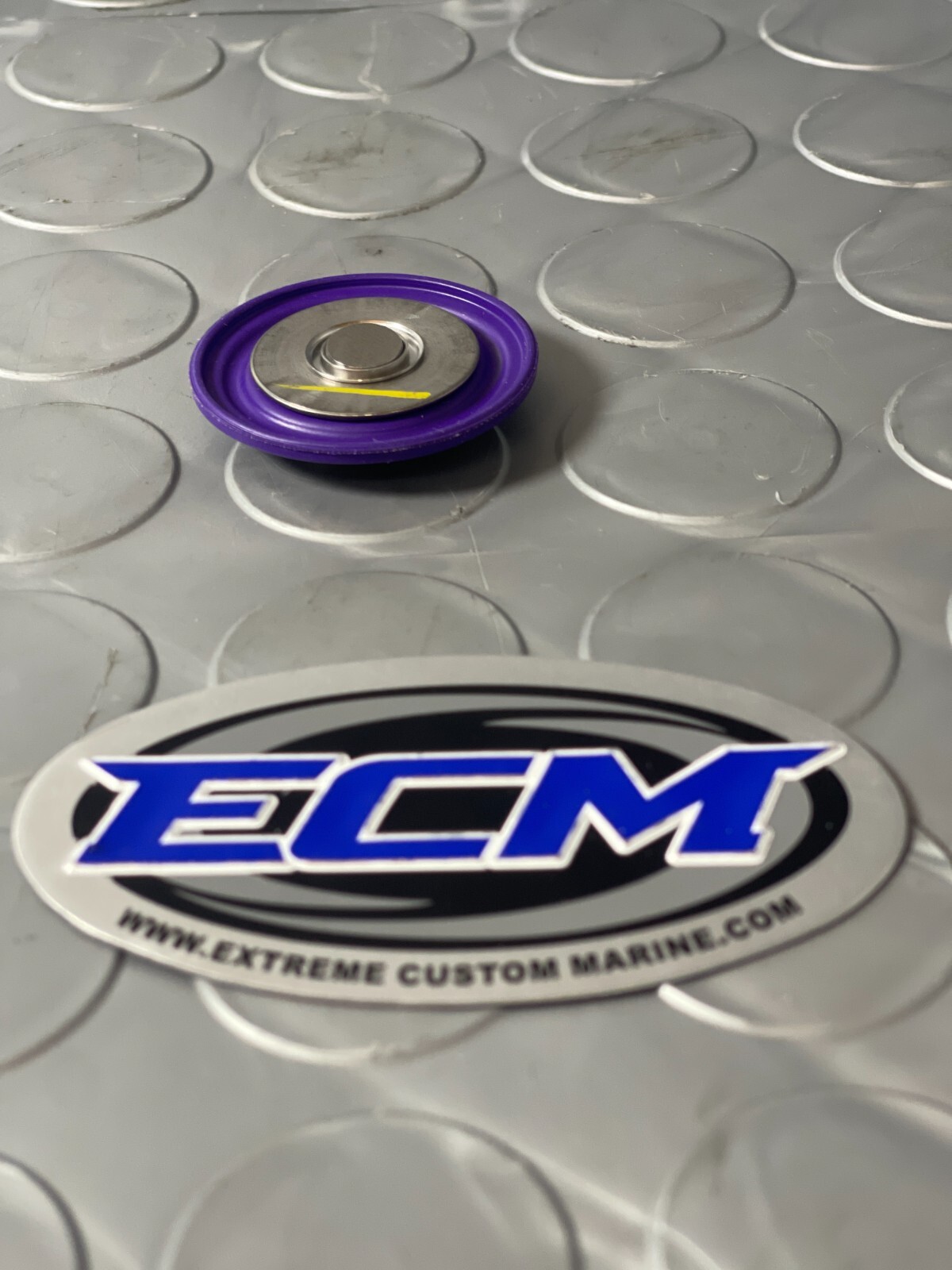 Mercury Quicksilver Optimax Fuel Rail Air Fuel Regulator Diaphragm PN