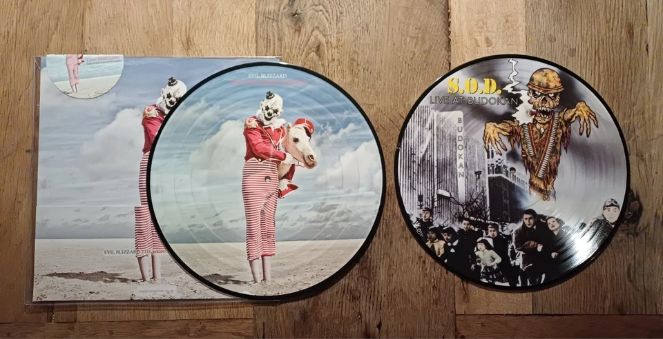 Metal Picture Disc Sammlung Vinyl DIO Scorpions Entombed S.O.D. Heavy Death Tank - Bild 4 von 4