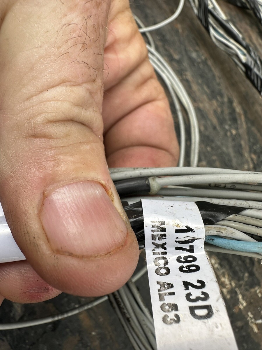 Freightliner Engine Wiring Harness P/N: A06-89672-000 | eBay Freightliner Engine Wiring Harness P/N: A06-89672-000 | eBay
