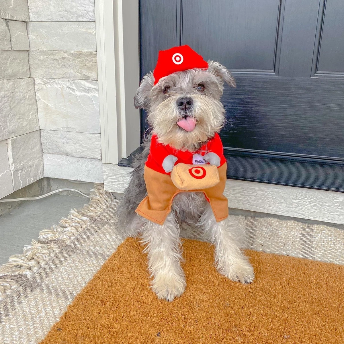 Dog Clothes & Dog Costumes : Target