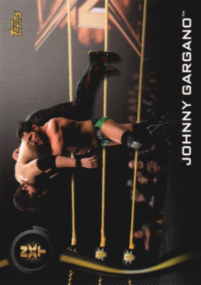 2019 Topps WWE NXT Roster #21 Johnny Gargano 