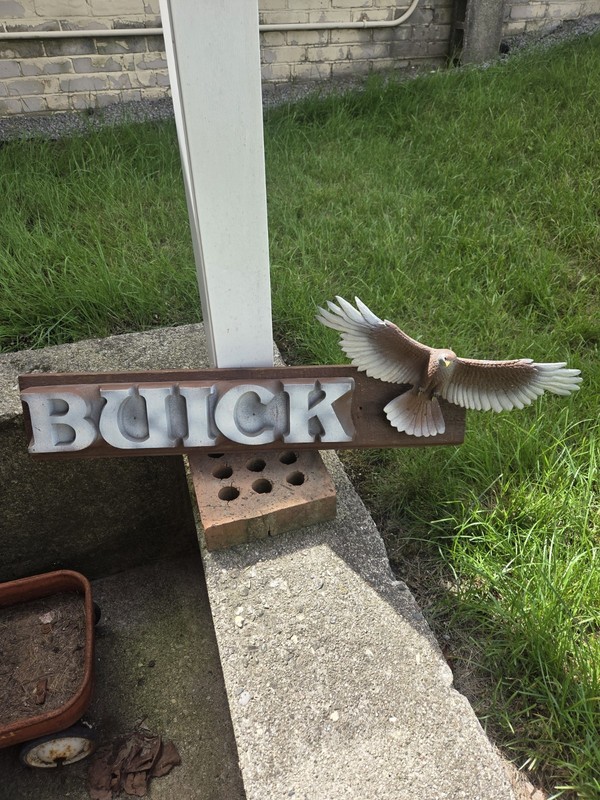 RARE ! Vtg BUICK Dealership Wall Display , Happy Hawk , Ex - NM Super Nice !
