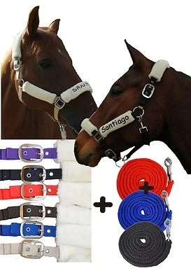 MARKENLOS Set Halfter Plüschi (Halfter+Strick) mit/ohne Name für VB/COB oder WB/FULL