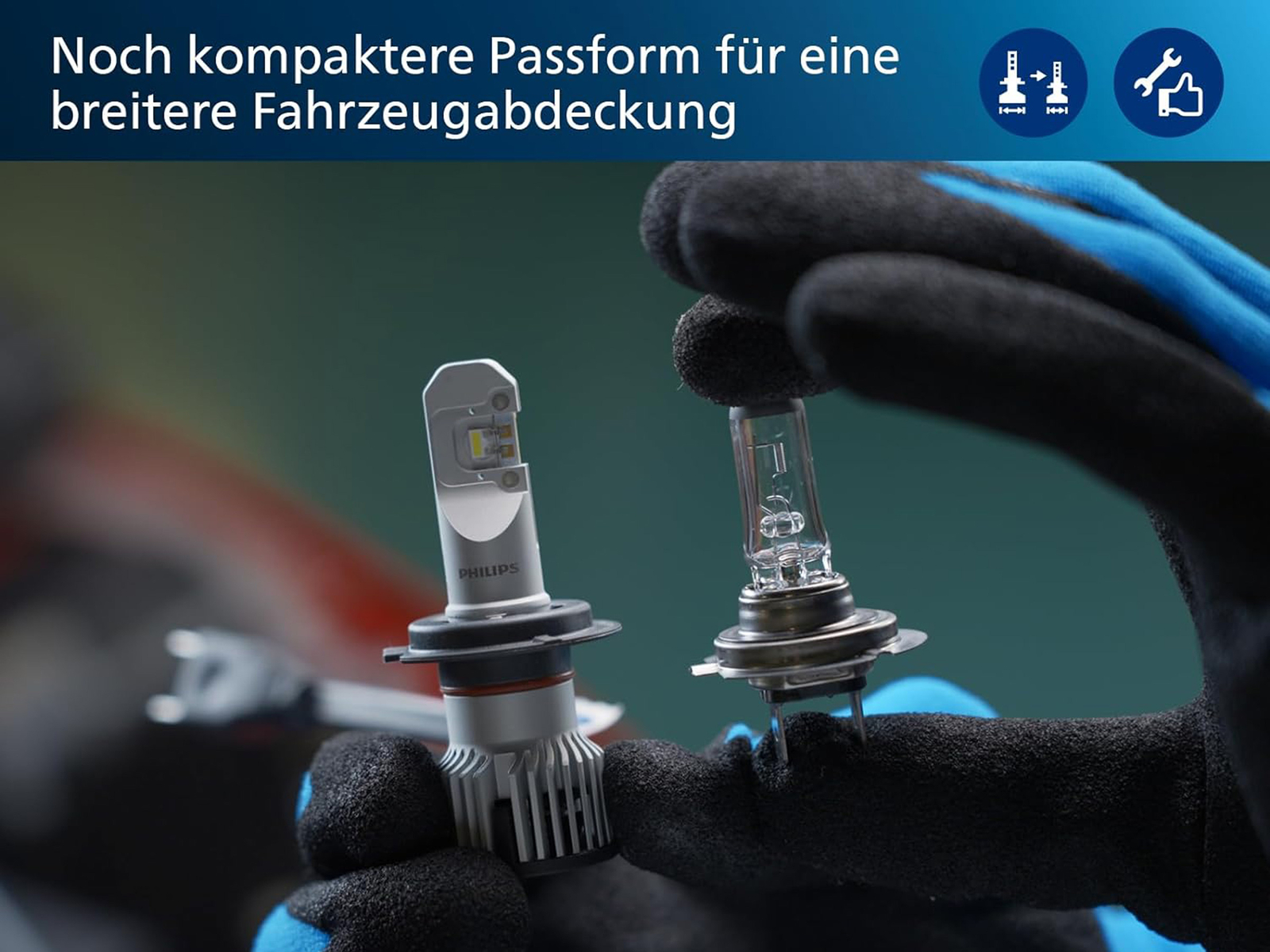 Bild 10 von 11