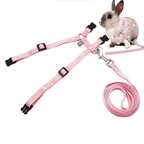 pink bunny harness