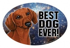 Dachshund Red BEST DOG EVER Oval 4"x6" Fridge Car Magnet Large Size USA Made