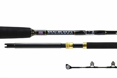 Penn Ocean Assassin Game Standup Roller Overhead Rod 6' 15 Kg