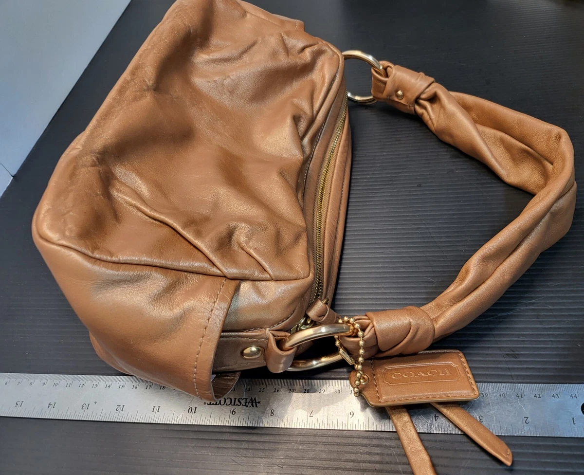 Coach Pouch Shoulder Bag