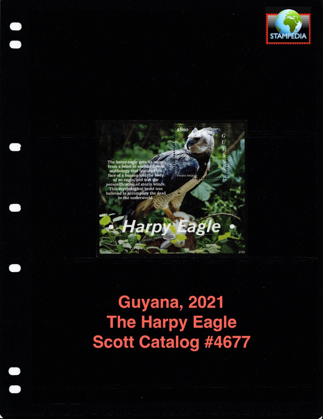 $7.75 Scott Value - 2021 GUYANA Harpy Eagles s/s South America CV MNH NH UMM