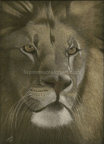 Ampersand Pro Board Original 9