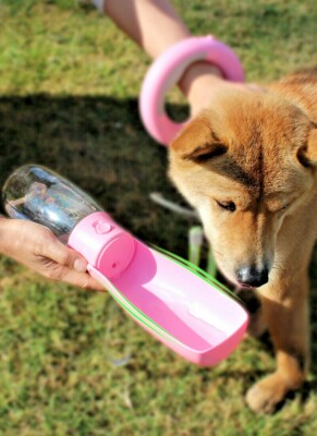 Borraccia Per Cani Portatile 550ml | Distributore Acqua Antigoccia Con Cordino - Rosa - Foto 9