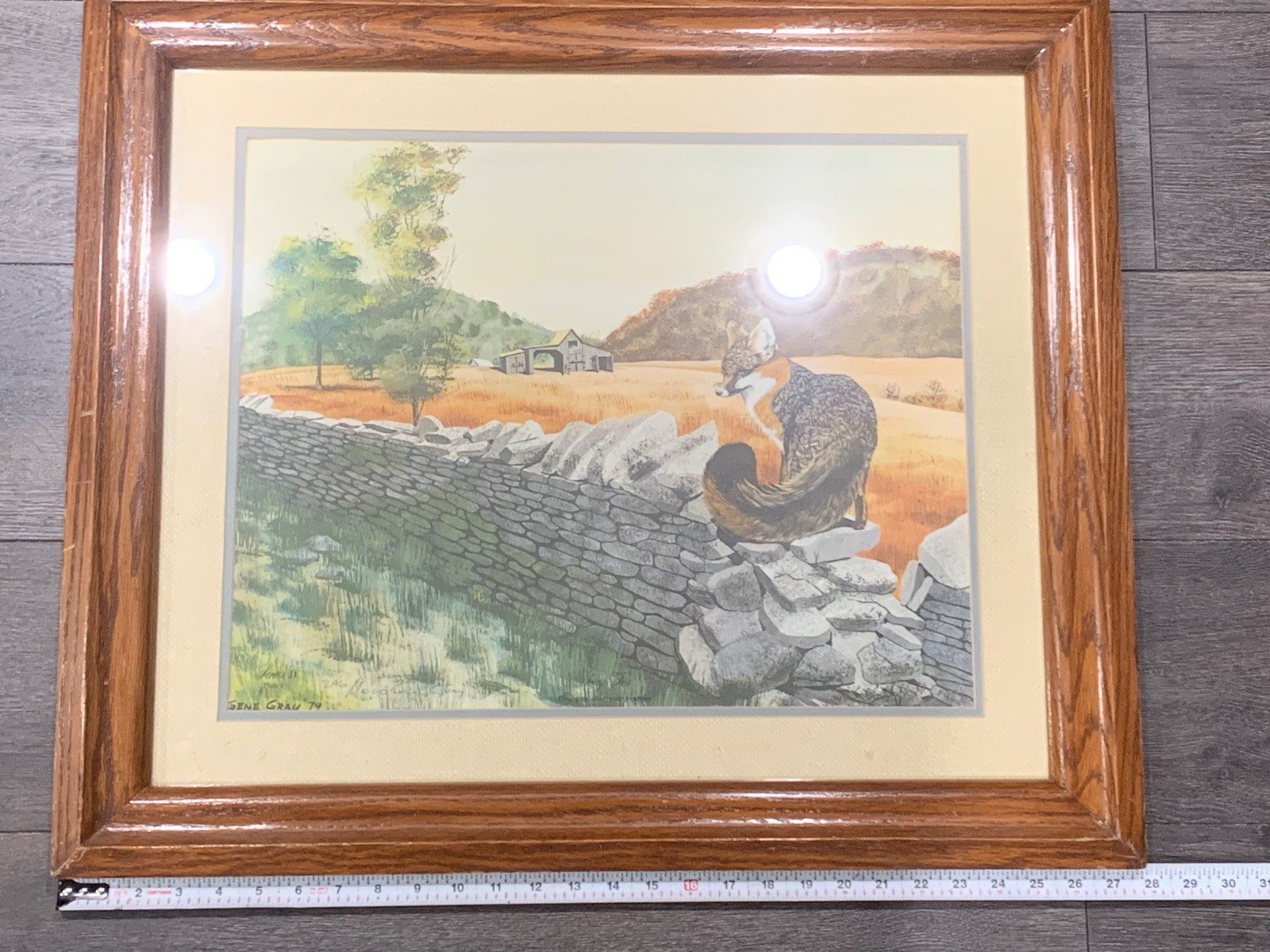 Gene Gray 1979 Signed Proof I Print 246/1000 Fox on Wall Framed Wildlife Artist