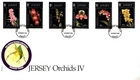 1999 JERSEY - JERSEY ORCHIDS IV FDC FROM COLLECTION V25