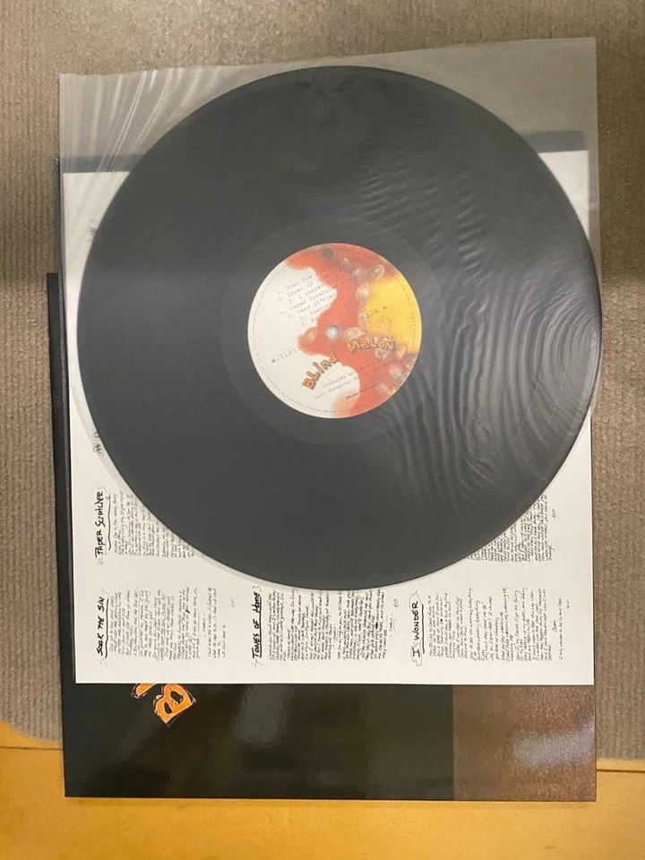 Blind Melon Records 1st Album 2LP RSD High-Quality Vinyl, Used - Image 3 of 3