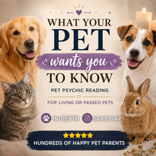 Psychic Pet Reading, Your Pet’s Thoughts, Animal Communicator