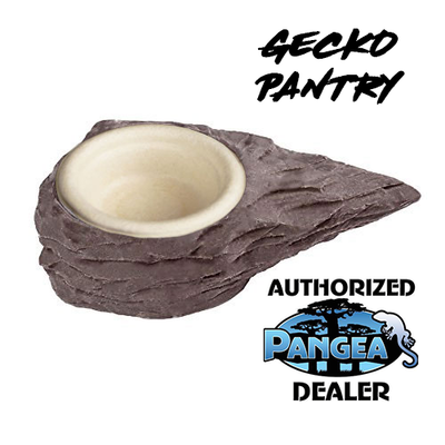 pangea mini magnetic gecko feeder ledge