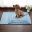 Summer Cool Pad Bed Cooling Chilly Mat Heat Relief For Pet ...