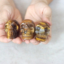 5Pcs Natural Tiger Eye Quartz Crystal Skull Carving Head Sculpture Healing 5cm