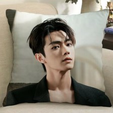 Xu kai Cushion Pillows Collection 40 40cm Bedroom