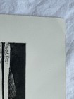 Foto 23 di 24