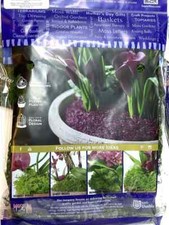 Mini Fairy Garden Moss Pack   Fresh Green Pack of 5 