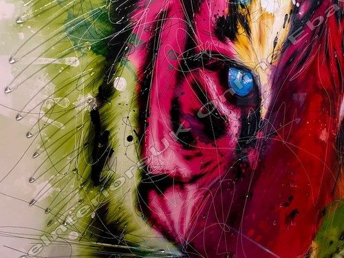 Tiger's face multi-coloured with liquid art & 2 tone or mirror frame pictures - Picture 21 of 21