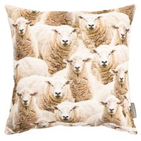 Sandner Schafe KissenhüLle Dekokissen Couchkissen Sofakissen Baumwolle 45X45 Cm