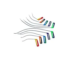 PDR Tools  Batumi Edition | 10-Piece Double-Bend Sharp Tip Paintless Dent Repair