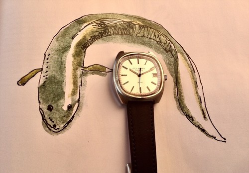 City Watch. Eta 8190. Certina 29- 251. Zenith 51-0. Condiciones MINT - Imagen 6 de 12