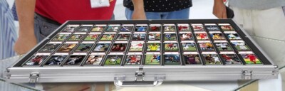 Trading Card Display Case Aluminum 34 x 22 Pokemon TCG Sport PSA Show Box Frame | eBay Trading Card Display Case Aluminum 34 x 22 Pokemon TCG Sport PSA Show Box Frame | eBay