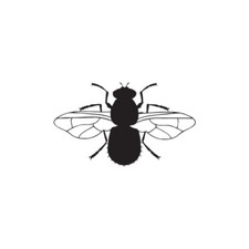 Fly Bug Insect - Vinyl Decal Sticker - Multiple Colors  Sizes - ebn2883