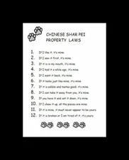 Chinese Shar Pei - CUSTOM MATTED - Dog Art Print - P/L