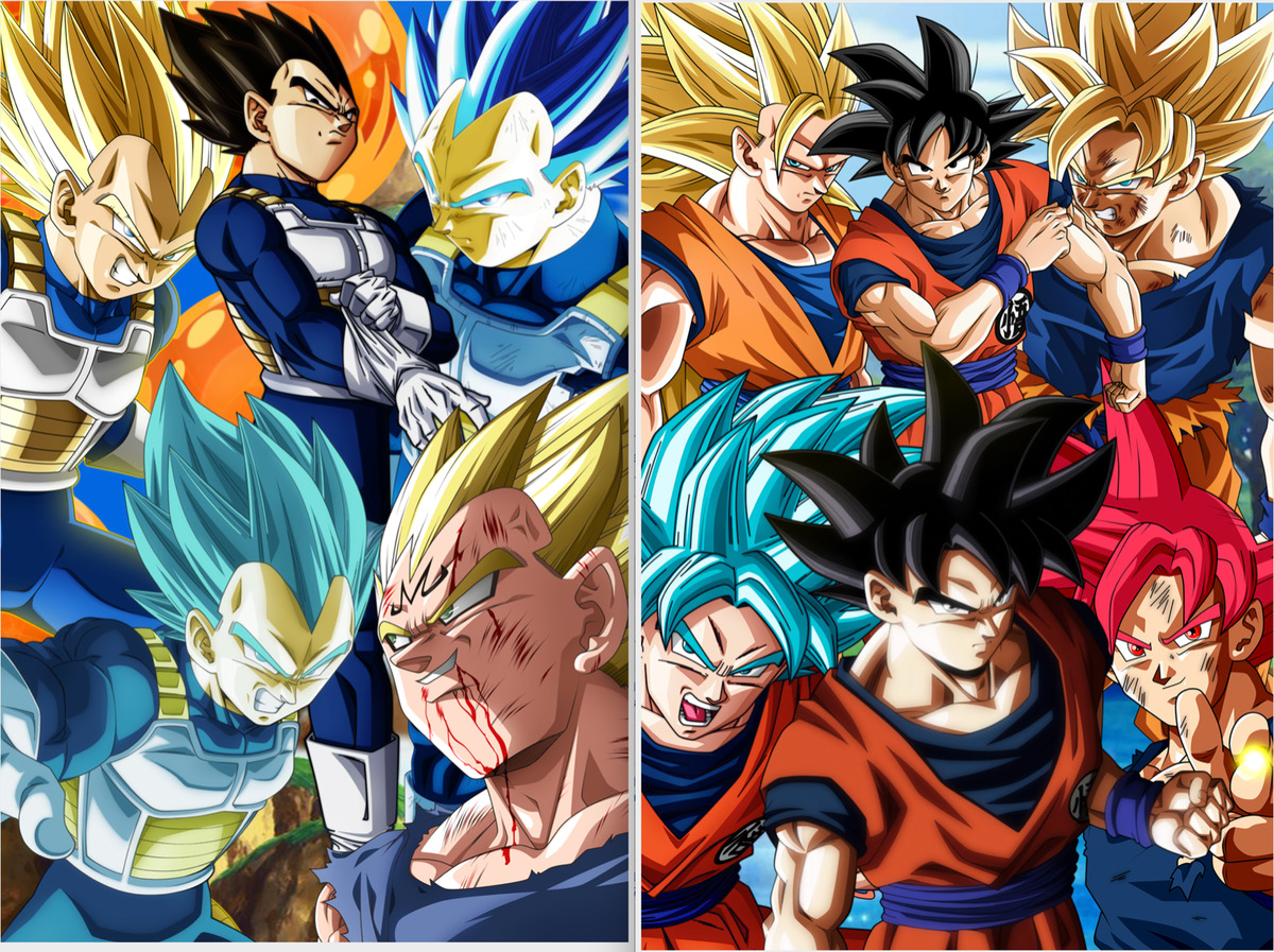 Dragon Ball Z SSJ Vegeta Collage 18in x 12in Free Shipping