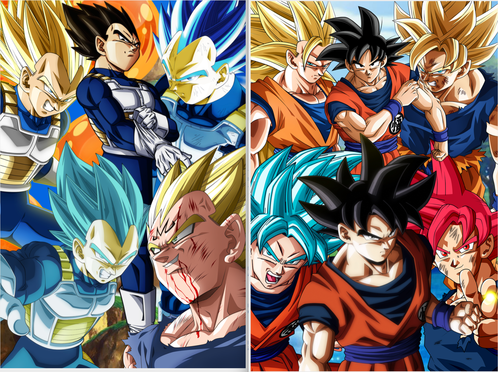 Dragon Ball Poster Vegeta ssj2 Shen Long Dragon Balls 12inx18in Free  Shipping