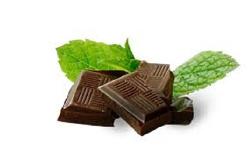 Bolsas de té con sabor Lenier's estilo inglés chocolate menta 4/8 unidades (32) Foto 3 de 4