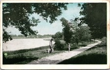 Vintage Scenic Lake Postcard Man Child Dog Unposted Made in USA General Scenes
