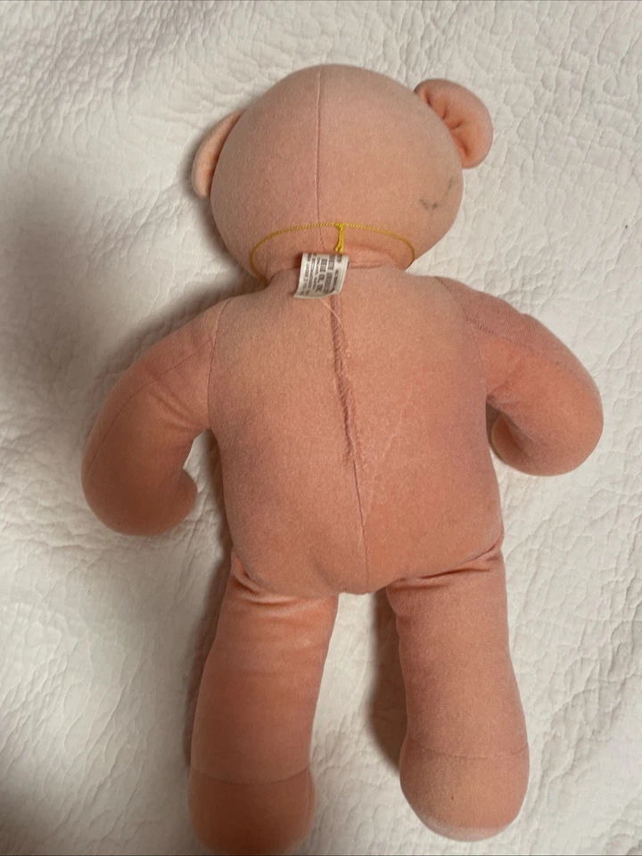 Oso norteamericano vintage años 70 - Barbara Isenberg Foto 3 de 4