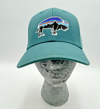 Patagonia Fitz Roy Buffalo Hat Mesh Trucker Hiking Cap Teal Snapback Gorpcore