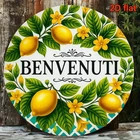 Tin Metal Signs Home Décor Italian Lemon Welcome Vintage "Benvenuti" Wall Art Pl