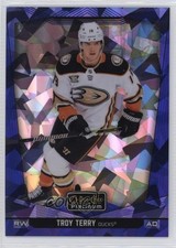 2024-25 O-Pee-Chee Platinum Blue Fragments 7/125 Troy Terry #10 06wk