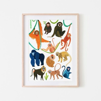 0_Affenarten Druck - Botanischer Druck - Dschungel - Tropisch - Botanische Illustration
