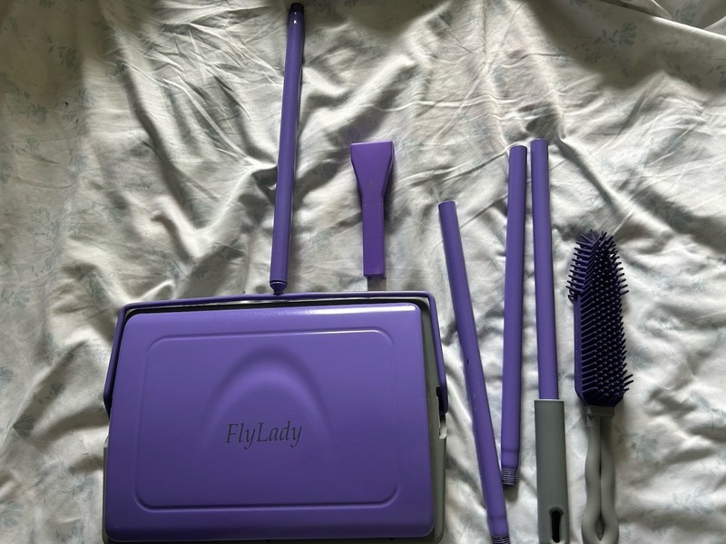 Flylady tool lot Rubba Scrubba Carpet Sweepa HTF disc cleaning EUC Marla Cilley