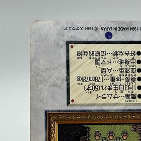 Cyan Garamonde 13 Final Fantasy VI Card TCG HOLO Games Famicom Japan 1994