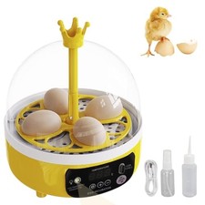 Mini Compact Egg Incubator Holds 4 Large or 8 Quail Eggs USB Powered Automatic
