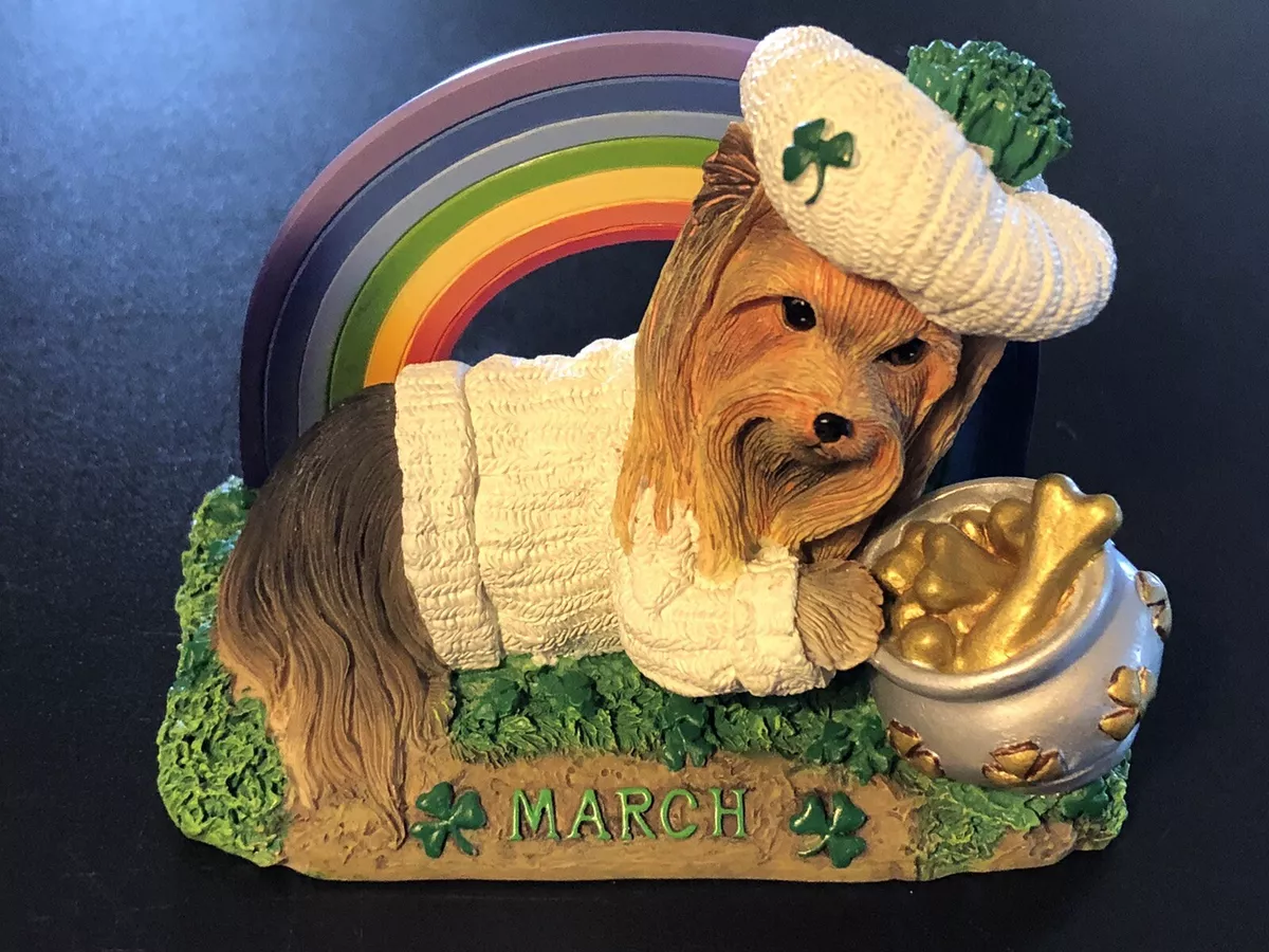Irish yorkie cheap