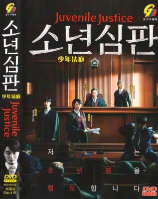 KOREAN DRAMA JUVENILE JUSTICE 少年法庭 VOL.1-10 END DVD ENGLISH SUBTITLE REGION ALL