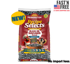 Pennington Recipe Selects Black Oil Sunflower Seed Dry Wild Bird Food, 10 lb Bag