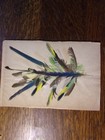 unique 1907 snug harbor rookery bird feather arrangement colorado ornithology — photo 2