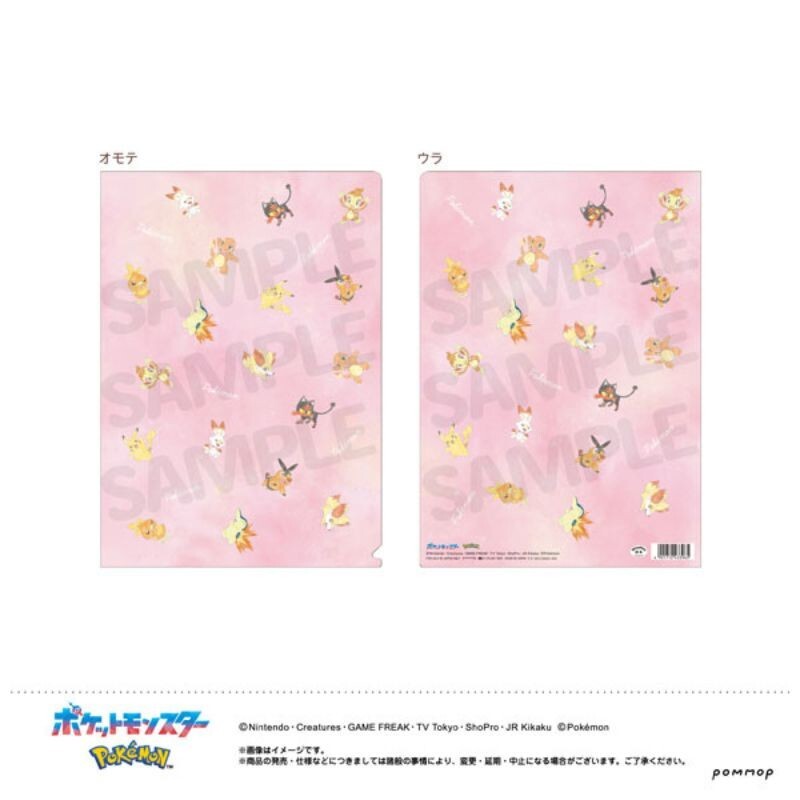 Pokemon Clear File B Pikachu & Fire JAPAN OFFICIAL